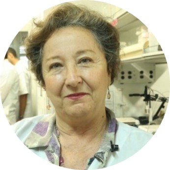 lucía atehortúa